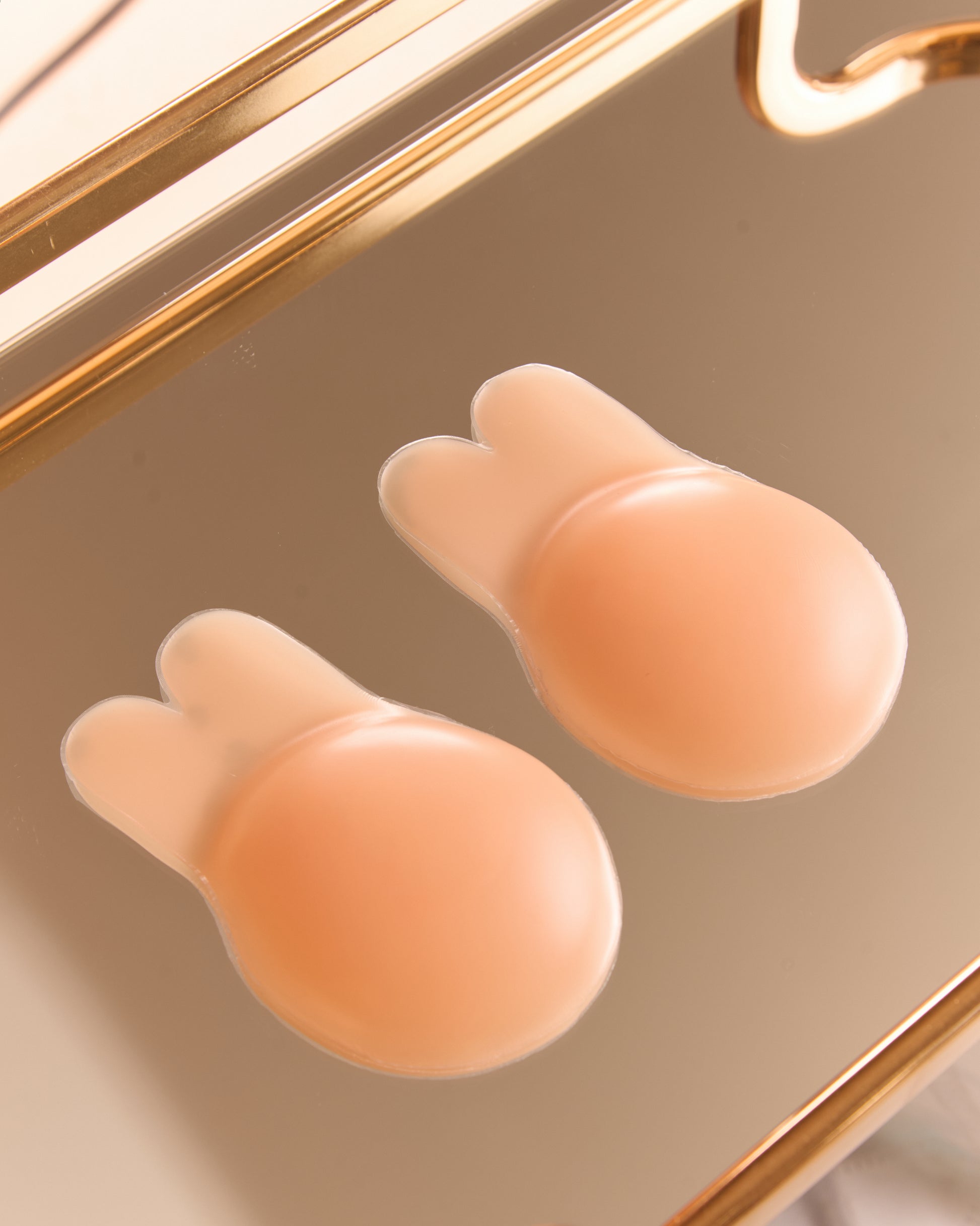 REUSABLE LIFT PASTIES